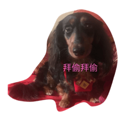 [LINEスタンプ] Princess doog