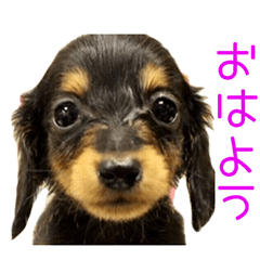 [LINEスタンプ] ちくわとひじき