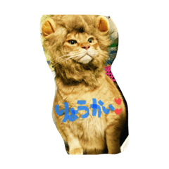 [LINEスタンプ] ちょこの気持ち ねこ