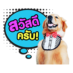 [LINEスタンプ] Doggiedooの画像（メイン）