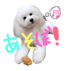 [LINEスタンプ] ぴぴつぶの画像（メイン）