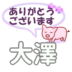 [LINEスタンプ] 大澤「おおさわ」さん専用。日常会話の画像（メイン）