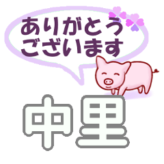 [LINEスタンプ] 中里「なかさと」さん専用。日常会話