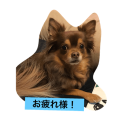 [LINEスタンプ] 大切な私の犬 2