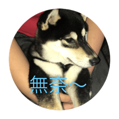 [LINEスタンプ] fat dog Wang