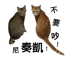 [LINEスタンプ] Mini Cat Mi