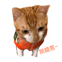 [LINEスタンプ] Kuai-cat