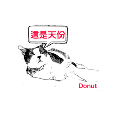 [LINEスタンプ] Donut and Bagel (5)