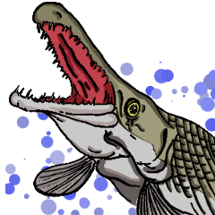 [LINEスタンプ] 日常熱帯魚アクアリストStamp