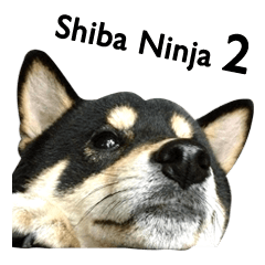 [LINEスタンプ] Shiba Ninja 2