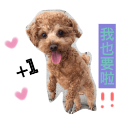 [LINEスタンプ] DODO  CUT  DOG