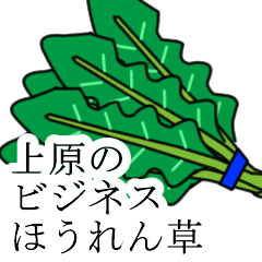 [LINEスタンプ] 上原のビジネスほうれん草