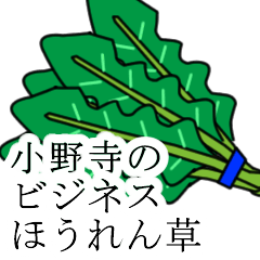 [LINEスタンプ] 小野寺のビジネスほうれん草の画像（メイン）