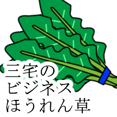 [LINEスタンプ] 三宅のビジネスほうれん草