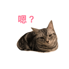 [LINEスタンプ] Milu Milu Milu