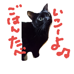 [LINEスタンプ] mimi maru