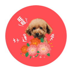 [LINEスタンプ] cutepoodles