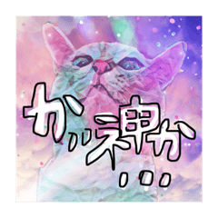 [LINEスタンプ] ねこさんの日常。