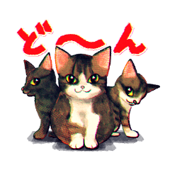 [LINEスタンプ] シモフリさん家の3猫ちゃん