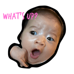 [LINEスタンプ] BabyShukaの画像（メイン）