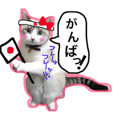 [LINEスタンプ] 自由気ままなちーちゃん