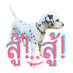 [LINEスタンプ] Dalmatian101