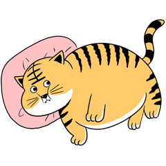 [LINEスタンプ] The tiger does not want to move！