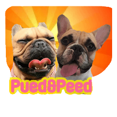 [LINEスタンプ] Pued＆Peed