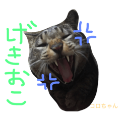 [LINEスタンプ] ころすた