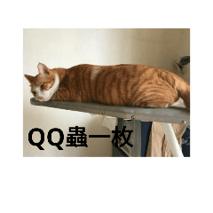 [LINEスタンプ] Love Q Cat 2