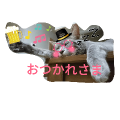 [LINEスタンプ] aru-nyan