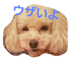 [LINEスタンプ] MAHALONO1