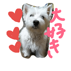 [LINEスタンプ] 名はクール