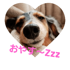 [LINEスタンプ] なかよし、そだね〜