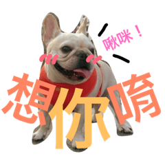 [LINEスタンプ] Piggy Piggy's Daily