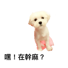 [LINEスタンプ] Buns have something to say