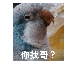 [LINEスタンプ] Parrot and dog