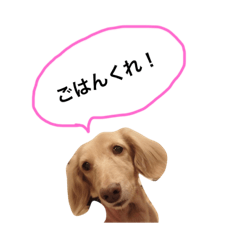 [LINEスタンプ] uthino purin