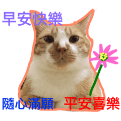 [LINEスタンプ] Cat's fantasy world.