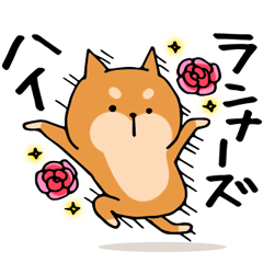 [LINEスタンプ] 柴犬豆でんこ「陸上部が抜けない」ver