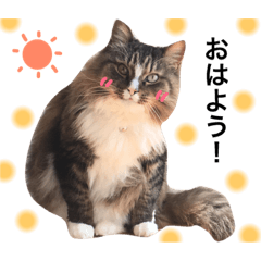 [LINEスタンプ] マルの一日。