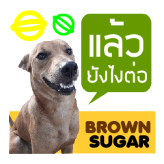 [LINEスタンプ] Brown Sugar ＆ Friends