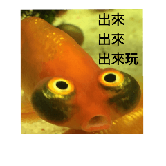 [LINEスタンプ] yofish