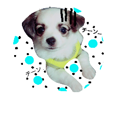 [LINEスタンプ] doglove2424