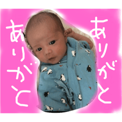 [LINEスタンプ] みさぴよきっずたち