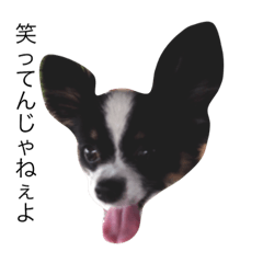 [LINEスタンプ] 毒舌まめちゃん1