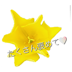 [LINEスタンプ] 自分応援