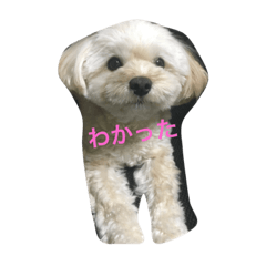 [LINEスタンプ] 可愛いきなこ125