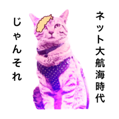 [LINEスタンプ] 猫ちゃんとエビフライ