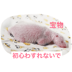 [LINEスタンプ] 大切な仲間たち